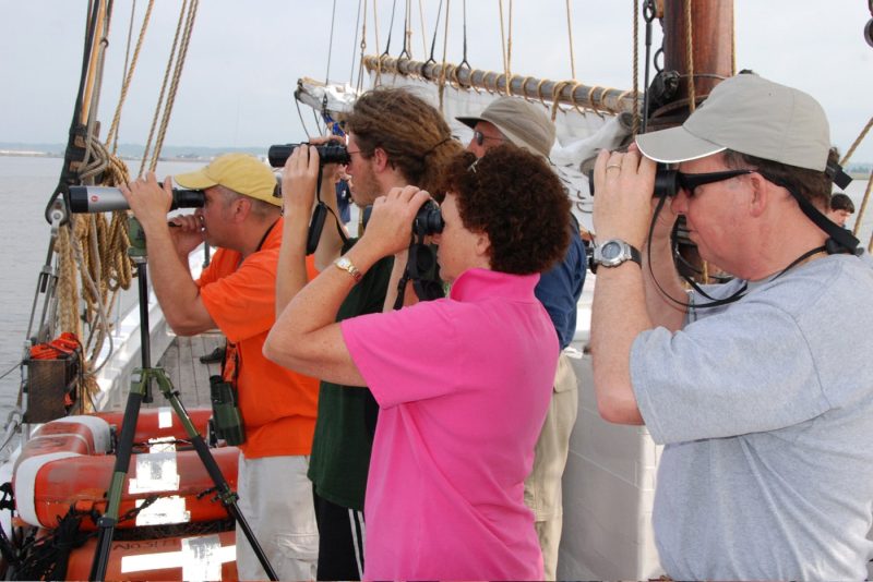 Adult Day Excursions - Bayshore Center