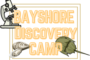 BAYSHORE DISCOVERY CAMP (2)