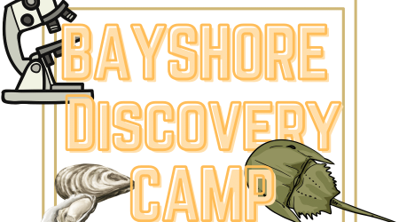 BAYSHORE DISCOVERY CAMP (2)