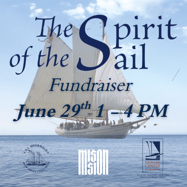Spirit of the Sail Fundraiser