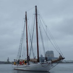 aj meerwald schooner race