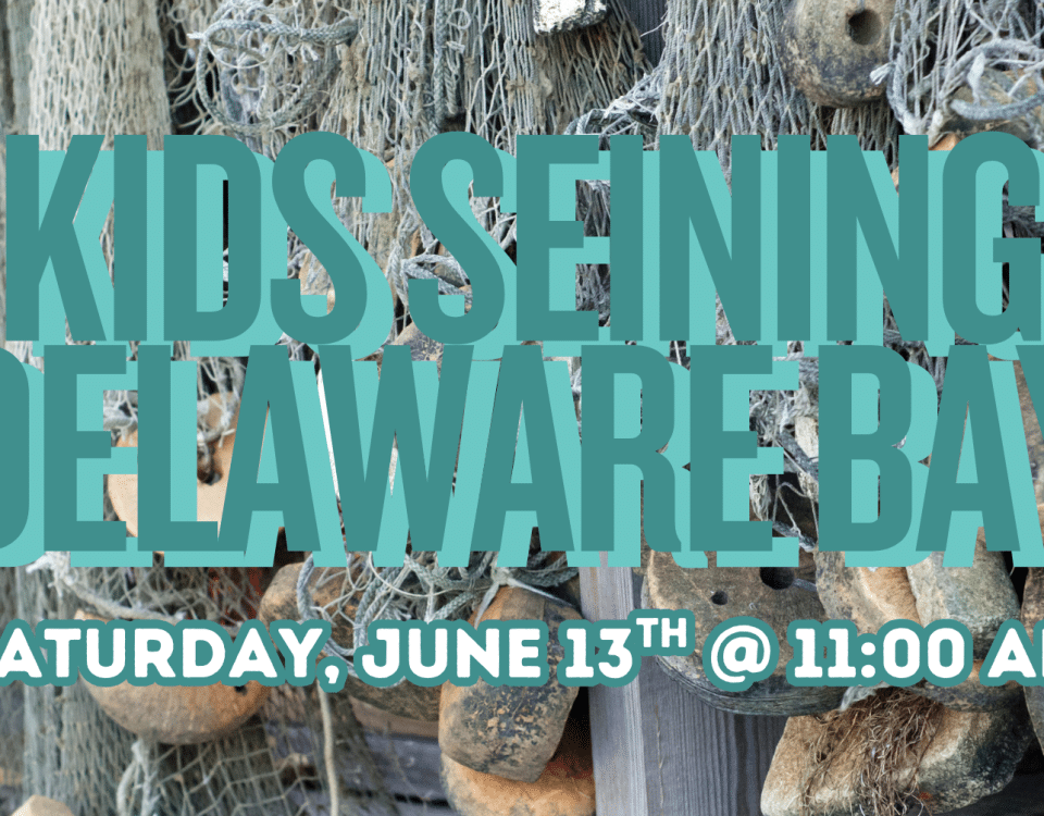 Promotional graphic for Kids Seining Delaware Bay at the Bayshore Center at Bivalve featuring fishing nets and oyster dredging gear with event details for Saturday, June 13 at 11:00 AM.