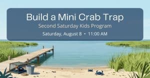 Illustrated promotional graphic for the Bayshore Center at Bivalve's Build a Mini Crab Trap Second Saturday Kids Program on Saturday, August 8 at 11:00 AM, featuring a Delaware Bay dock, marsh, blue crabs, and a miniature crab trap.