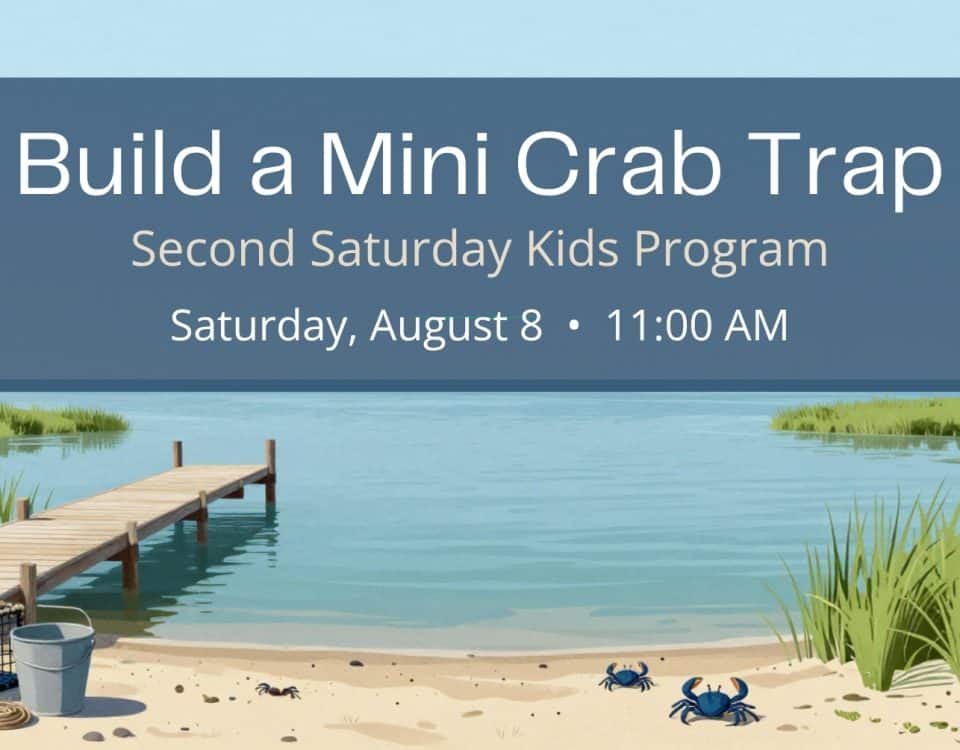 Illustrated promotional graphic for the Bayshore Center at Bivalve's Build a Mini Crab Trap Second Saturday Kids Program on Saturday, August 8 at 11:00 AM, featuring a Delaware Bay dock, marsh, blue crabs, and a miniature crab trap.