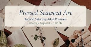 Promotional graphic for the Bayshore Center at Bivalve's Pressed Seaweed Art Second Saturday Adult Program on Saturday, August 8 at 1:00 PM.