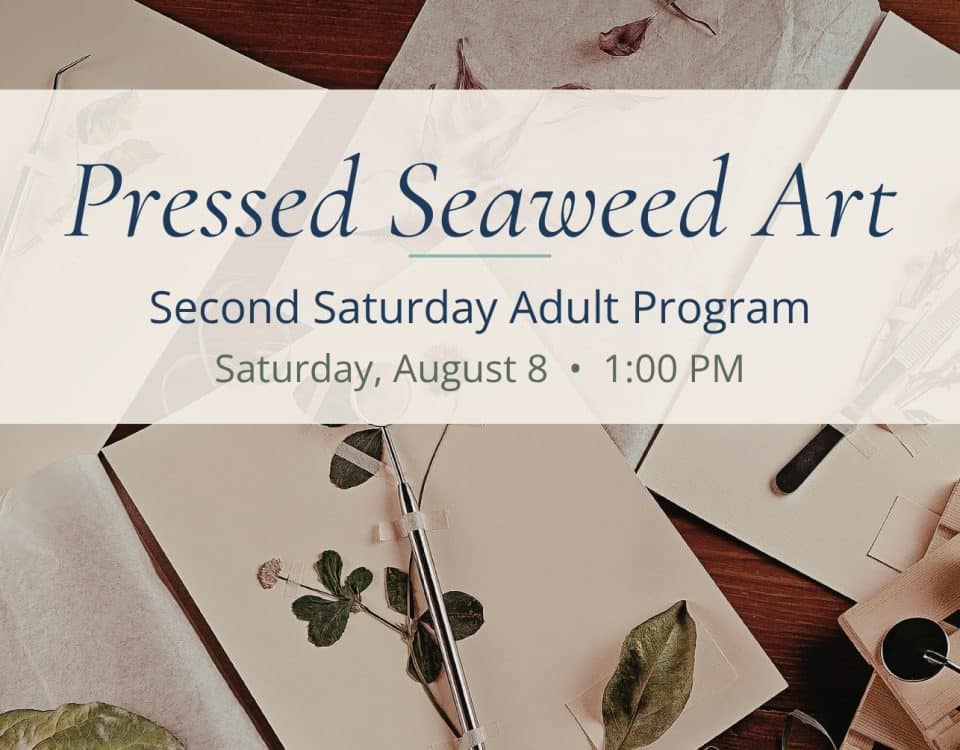 Promotional graphic for the Bayshore Center at Bivalve's Pressed Seaweed Art Second Saturday Adult Program on Saturday, August 8 at 1:00 PM.